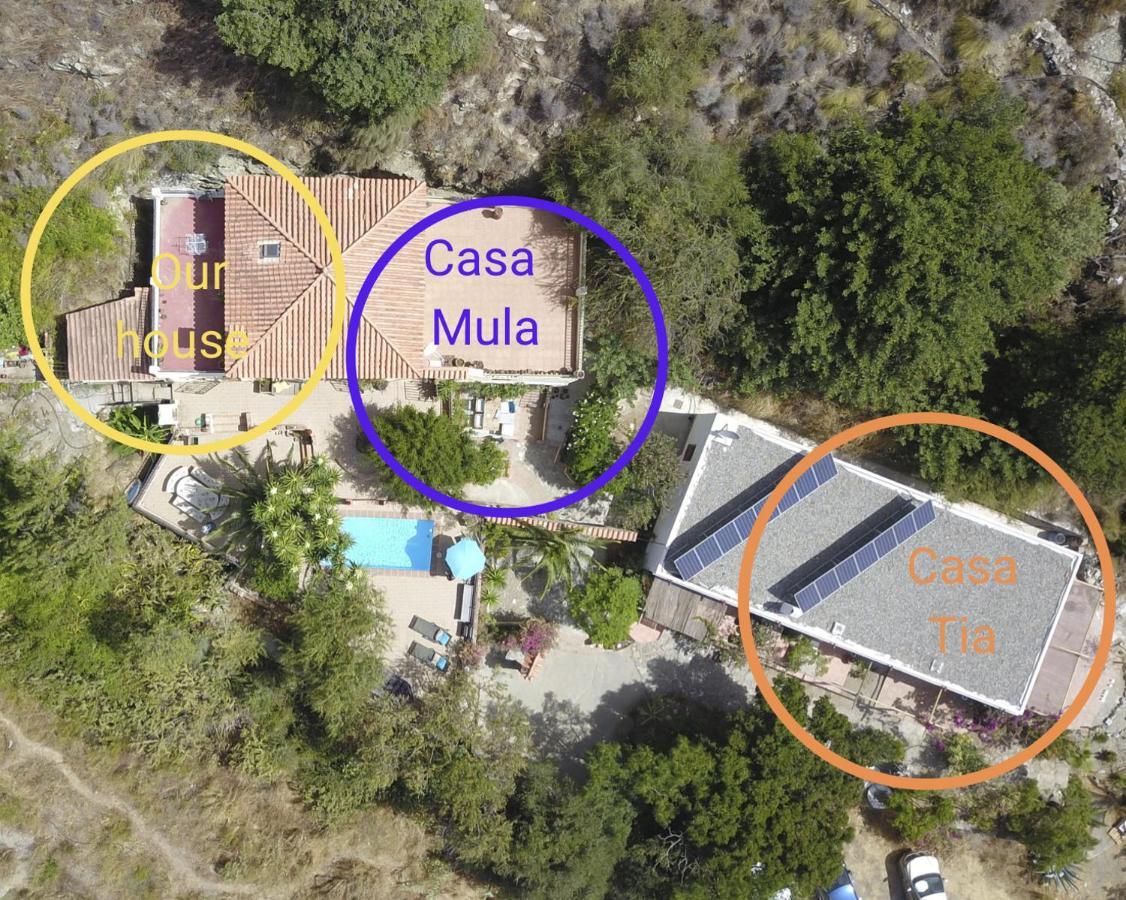 Cortijo Jamaica - Off Grid Paradise - Costa Tropical Los Diaz  Exterior foto