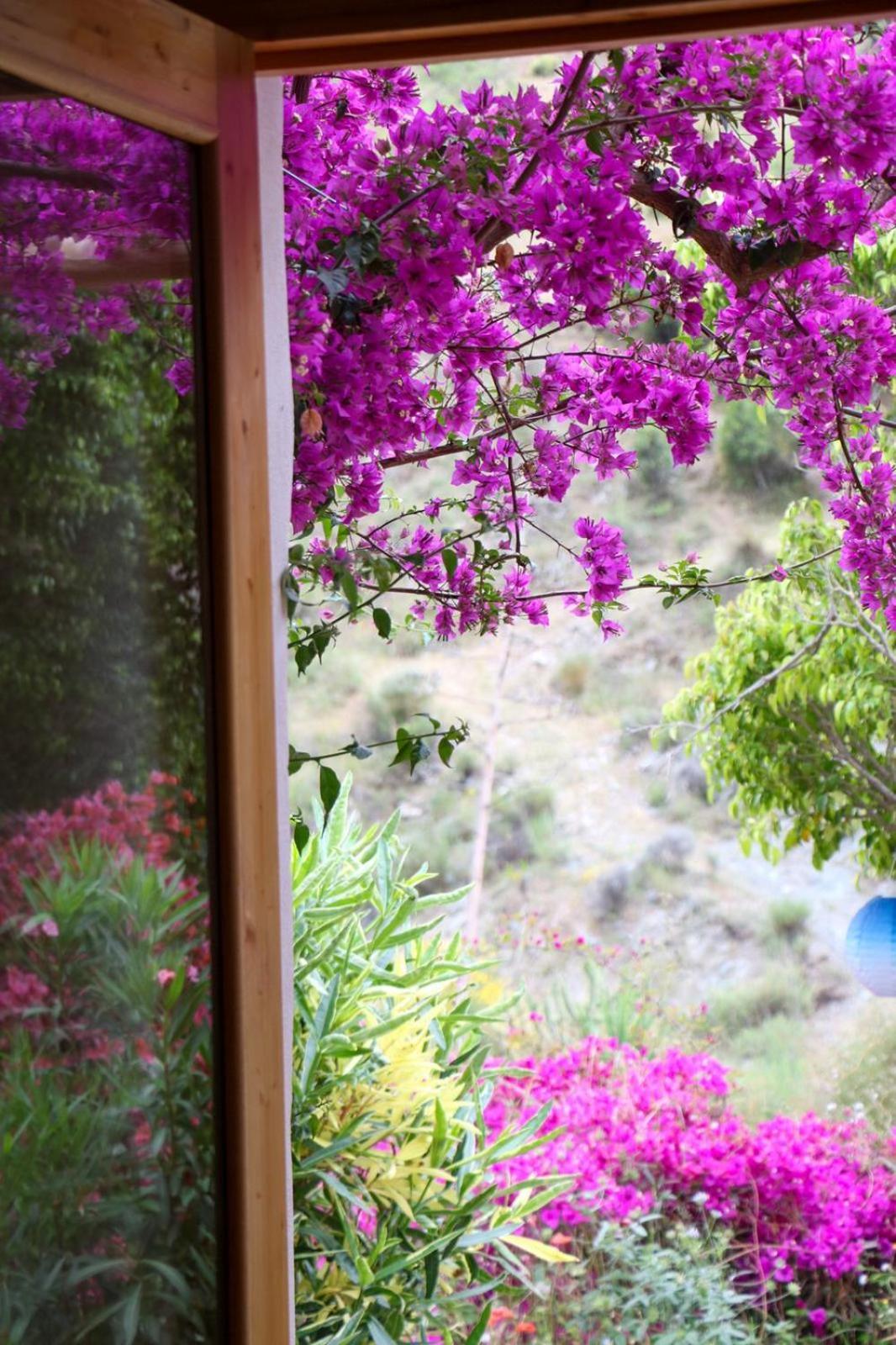 Cortijo Jamaica - Off Grid Paradise - Costa Tropical Los Diaz  Exterior foto