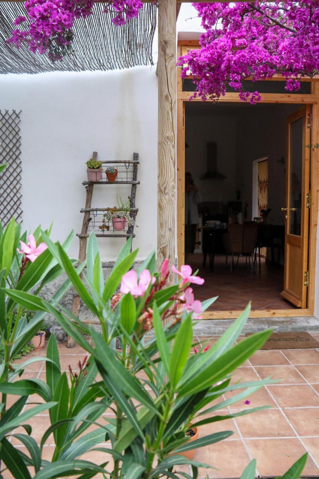 Cortijo Jamaica - Off Grid Paradise - Costa Tropical Los Diaz  Exterior foto